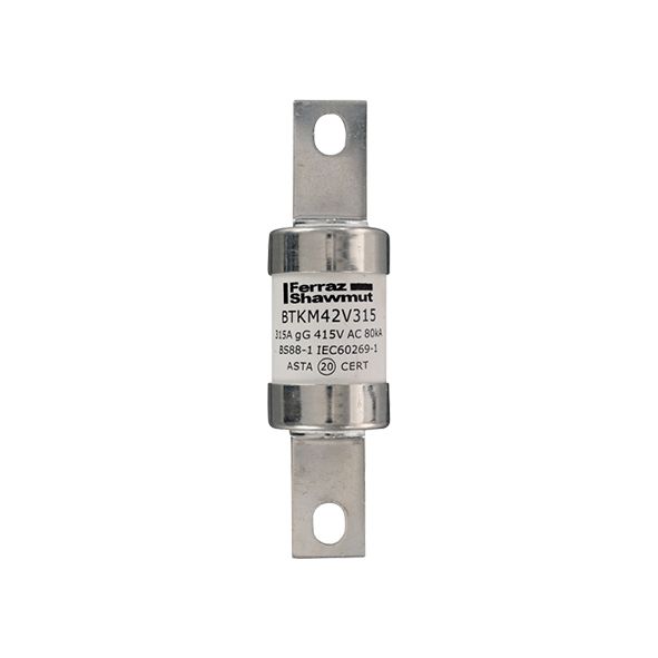 D226323 - Central Bolted Tag fuse-links gG BTKM 415VAC/240VDC 315A